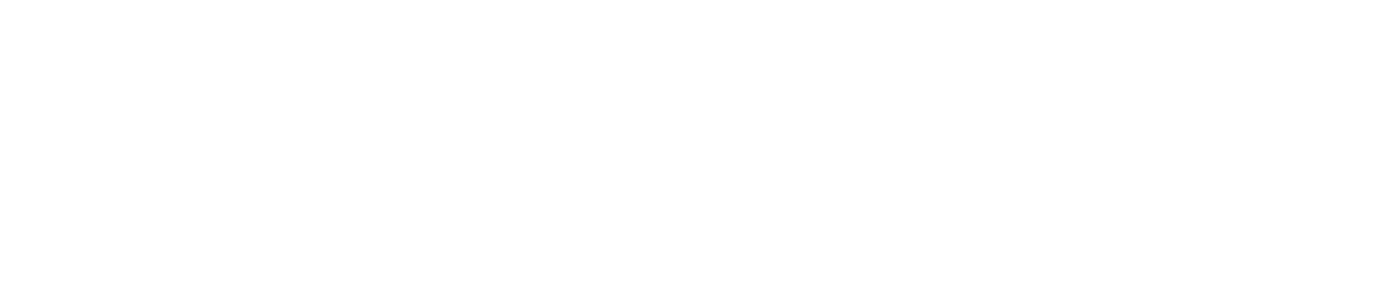 Franchise Vision